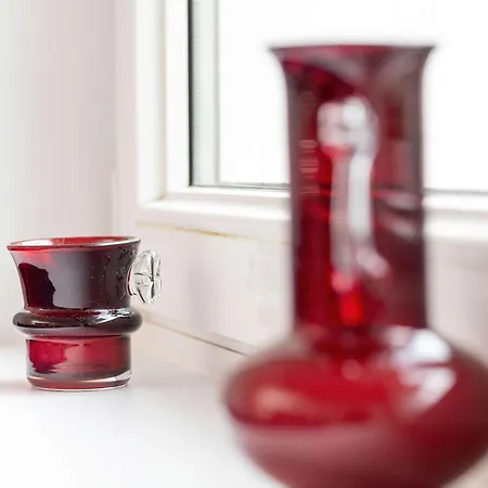 Modern With Smart Tv & Wifi Only 500 M From The Sea By Renters Γκντίνια